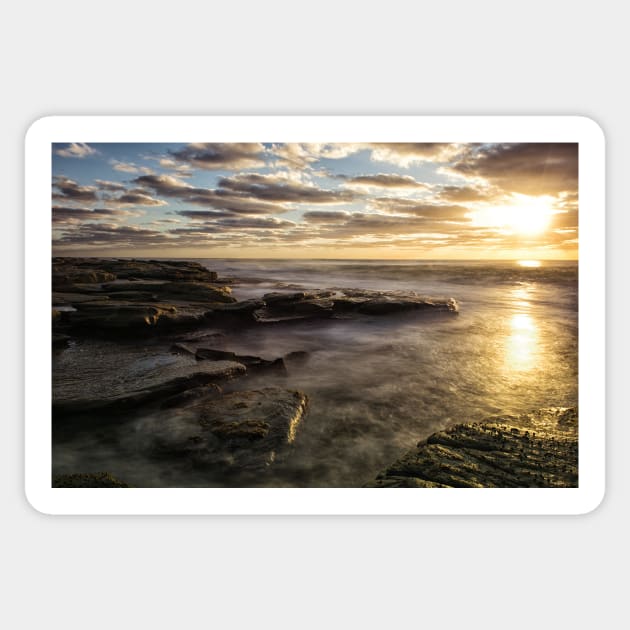 The Golden Waters of Point Cartwright Sticker by krepsher